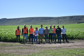 Agricultura Regenerativa 
