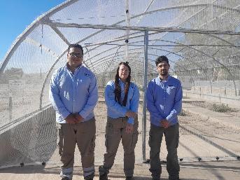 Grupo Calidra 