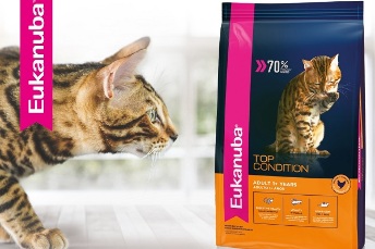 Eukanuba y los gatos