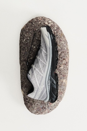 Shadow Capsule