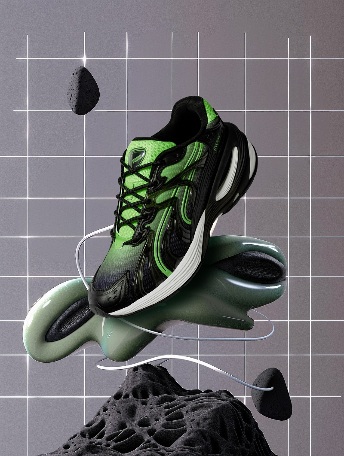 Puma Inverse