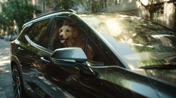 OnStar Pets