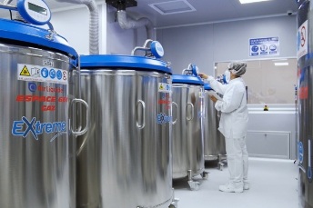 Lucha contra la fiebre aftosa