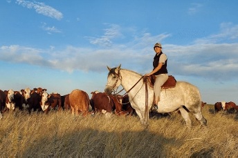 Nuevo escenario del campo argentino