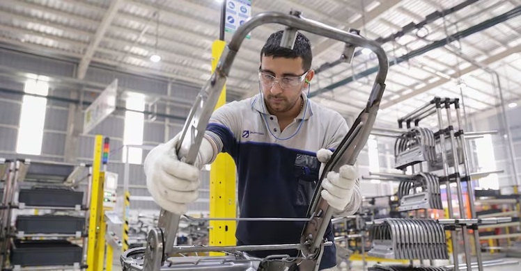 PyMEs argentinas 