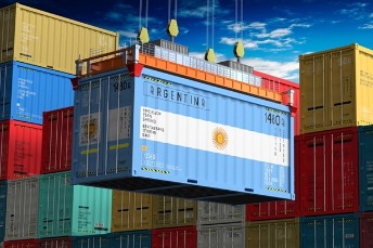 Año decisivo para los importadores argentinos