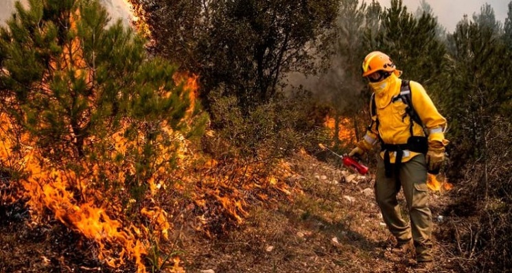 Incendios Forestales