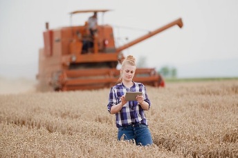 Mujeres en el campo
