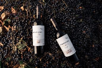 Selección Nacional de los Vinos