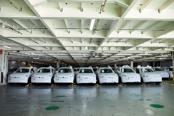 Los vehículos en el BYD CHANGZHOU 