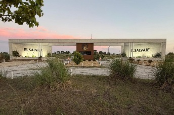 Nueva etapa del desarrollo