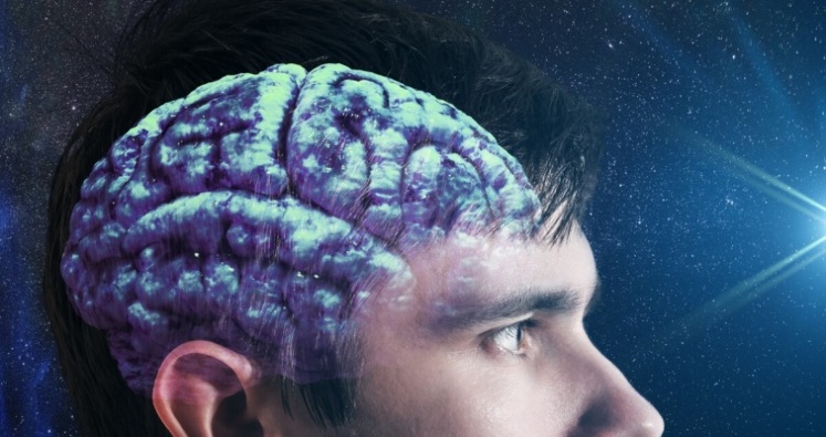 Brain Fry